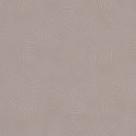 R 24254