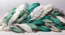 3D обои с рисунком перья Design Studio 3D Feathers AG-FT-021